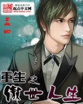 重生之傲世人生封面
