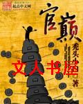 官巅封面
