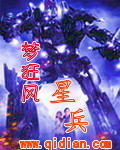 星兵封面