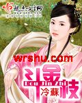 斗金枝封面