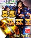 异界指环王封面