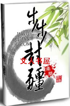 步步封疆封面