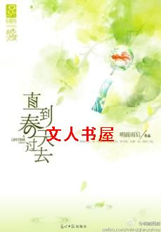 直到春天过去封面