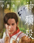神殒殁封面