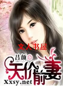 天价前妻封面