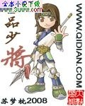 极品少将封面