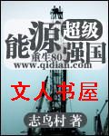 超级能源强国封面