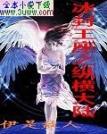 冰封王座之纵横大陆封面
