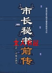 市长秘书前传封面