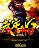 武定山河封面
