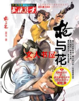 枪与花封面