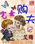 宅女购夫记封面