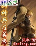 特种兵在异界封面