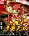 无限之至尊无双封面