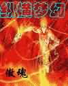 纵横梦幻封面