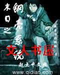 末日之钢壳系统封面
