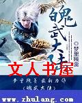 魄武大陆封面