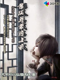 影风总裁恋上我封面