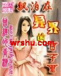 飘泊在异界的日子里封面