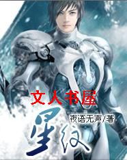 星纹封面