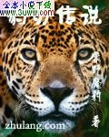 豹刃传说封面