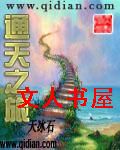 通天之旅封面