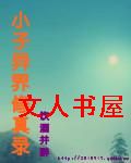 小子异界修真录封面