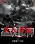 圣魂枪神封面