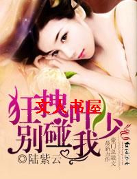 狂拽叶少的婚事封面