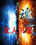 魂攻封面