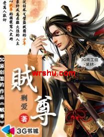 贼尊封面