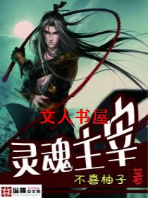 灵魂主宰封面