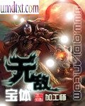无敌宝体封面