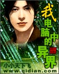我电脑中的异界封面