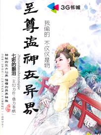 至尊盗神在异界封面
