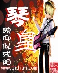 琴皇封面
