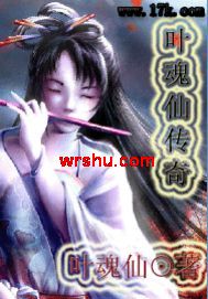 叶魂仙传奇封面