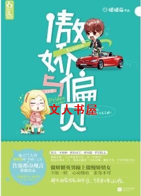 ������ƫ������