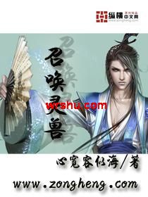 召唤灵兽封面