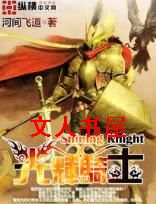 光辉骑士封面