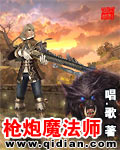 枪炮魔法师封面