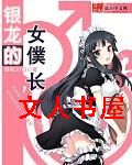 银龙的女仆长封面