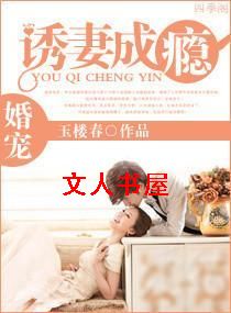 婚宠-诱妻成瘾封面