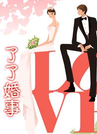 了了婚事封面