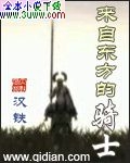 来自东方的骑士封面