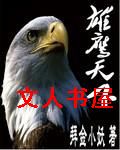 雄鹰天下封面