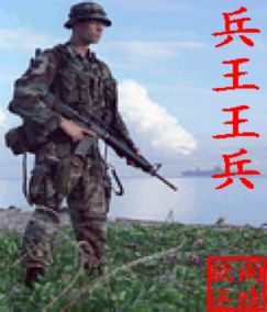 兵王王兵封面