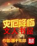 灾厄降临封面