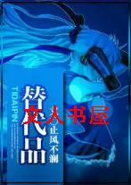 替代品封面