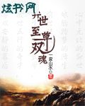 异世至尊双魂封面